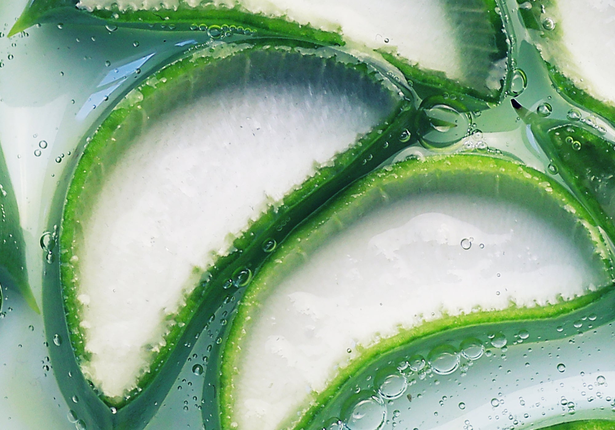 Aloe Vera For Skin