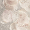 Rose Water (Damask Rose)